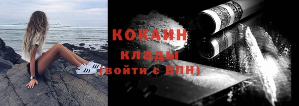 молекула духа Осинники