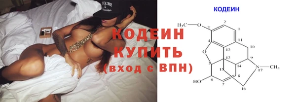 молекула духа Бежецк