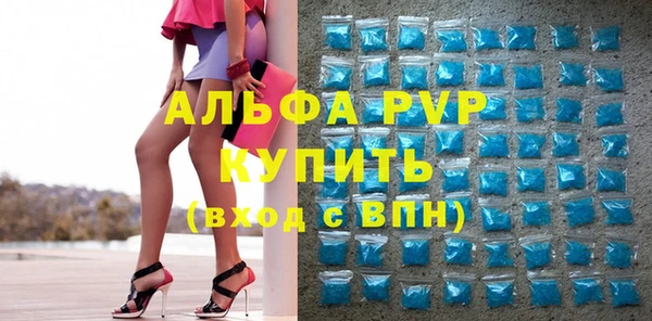 прущие грибы Бабаево