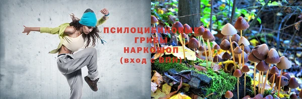 МДПВ Остров