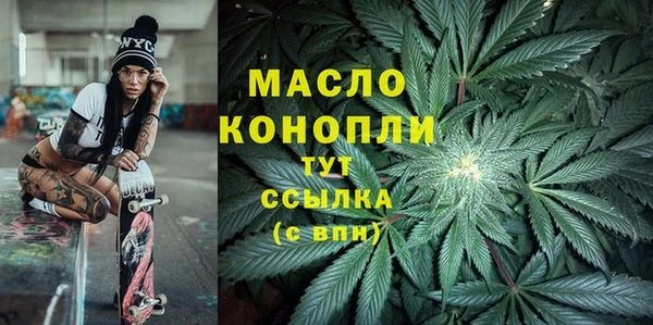 молекула духа Осинники
