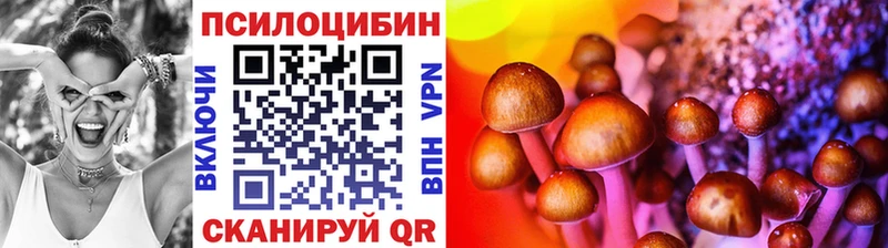наркотики  Котово  кракен ТОР  Псилоцибиновые грибы Psilocybe 