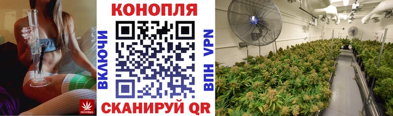 где продают наркотики  Котово  KRAKEN как зайти  Канабис ГИДРОПОН 